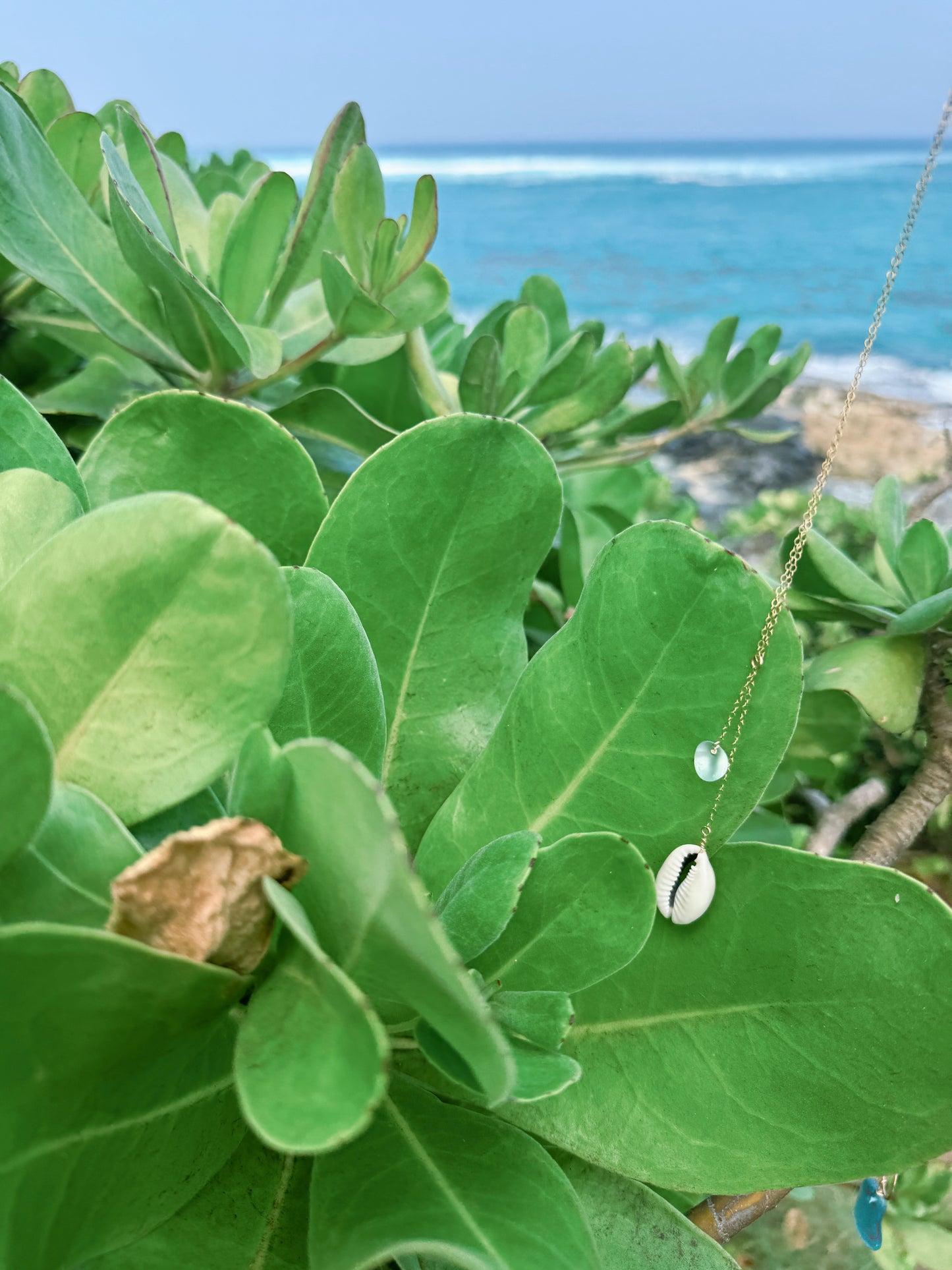 Shell & Sea Foam Necklace in Gold